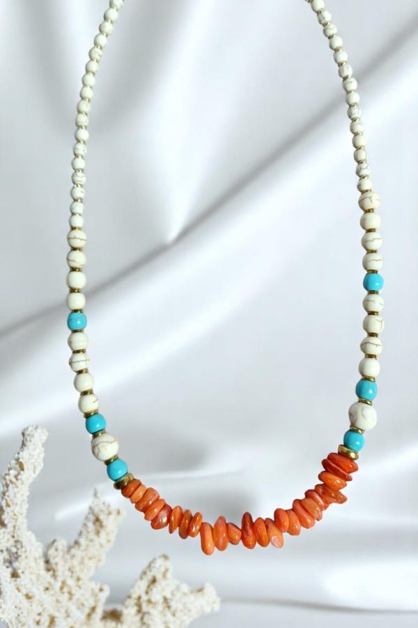 IMG 20250513 220326 Photoroom