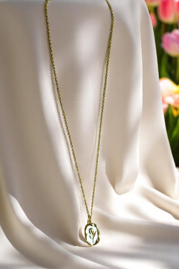 IMG 20250516 163713 Photoroom