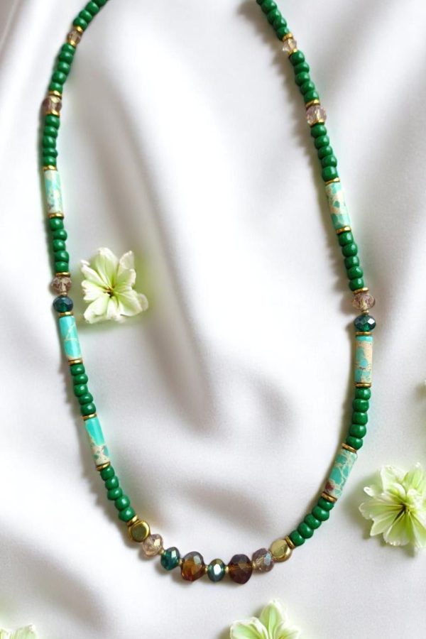 IMG 20250520 094133 Photoroom