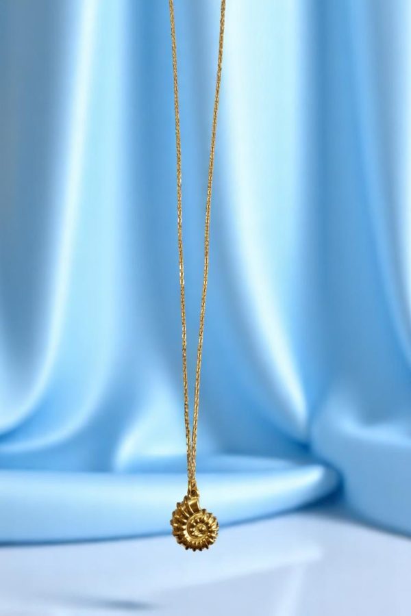 IMG 20250530 154704 Photoroom