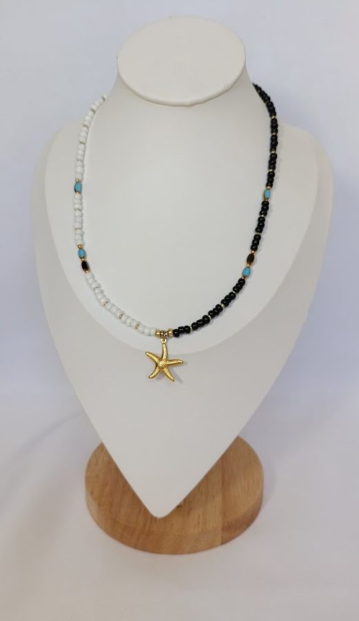 IMG 20250630 141221 (1)