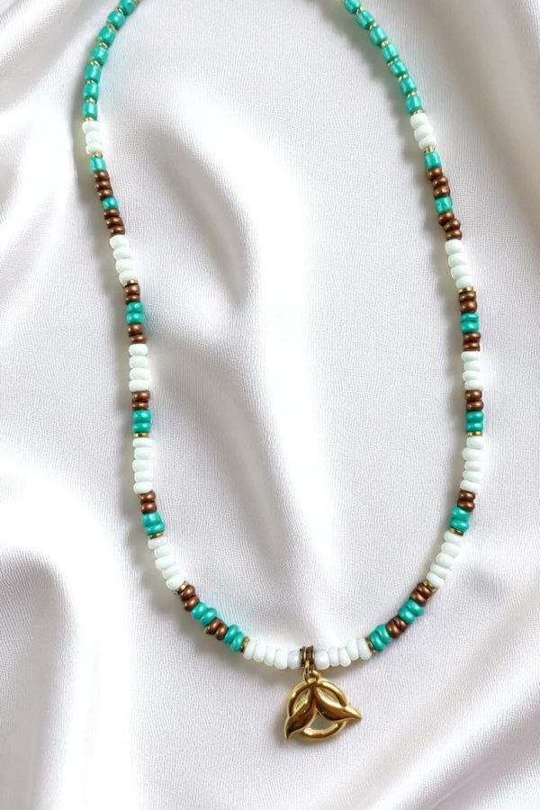 IMG 20250602 123540 Photoroom