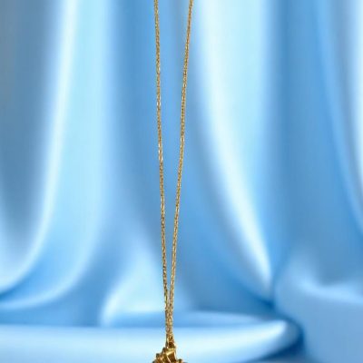 IMG 20250530 154704 Photoroom